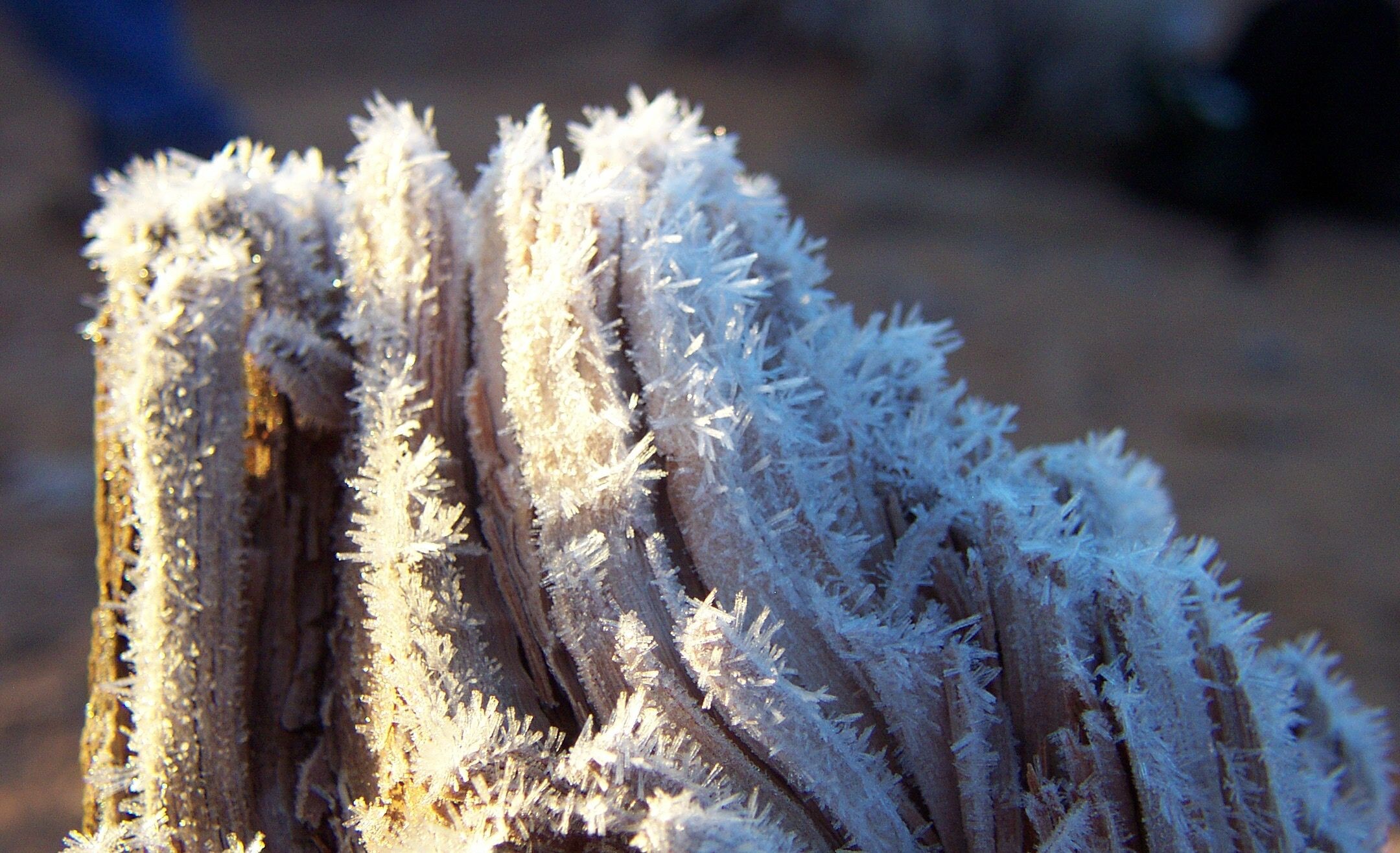 Ice crystals.jpg