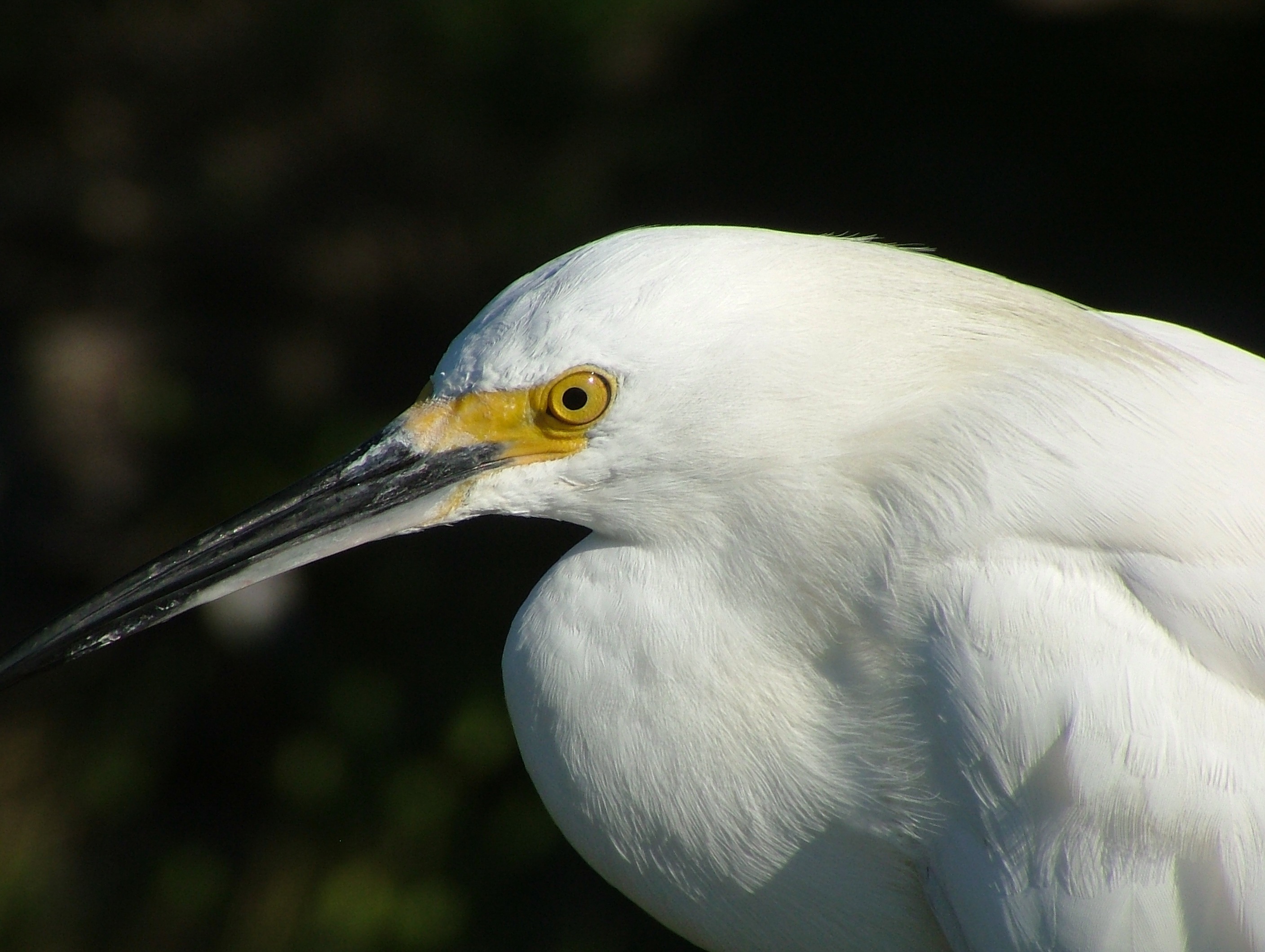 20030225-Boca Bay 079.jpg