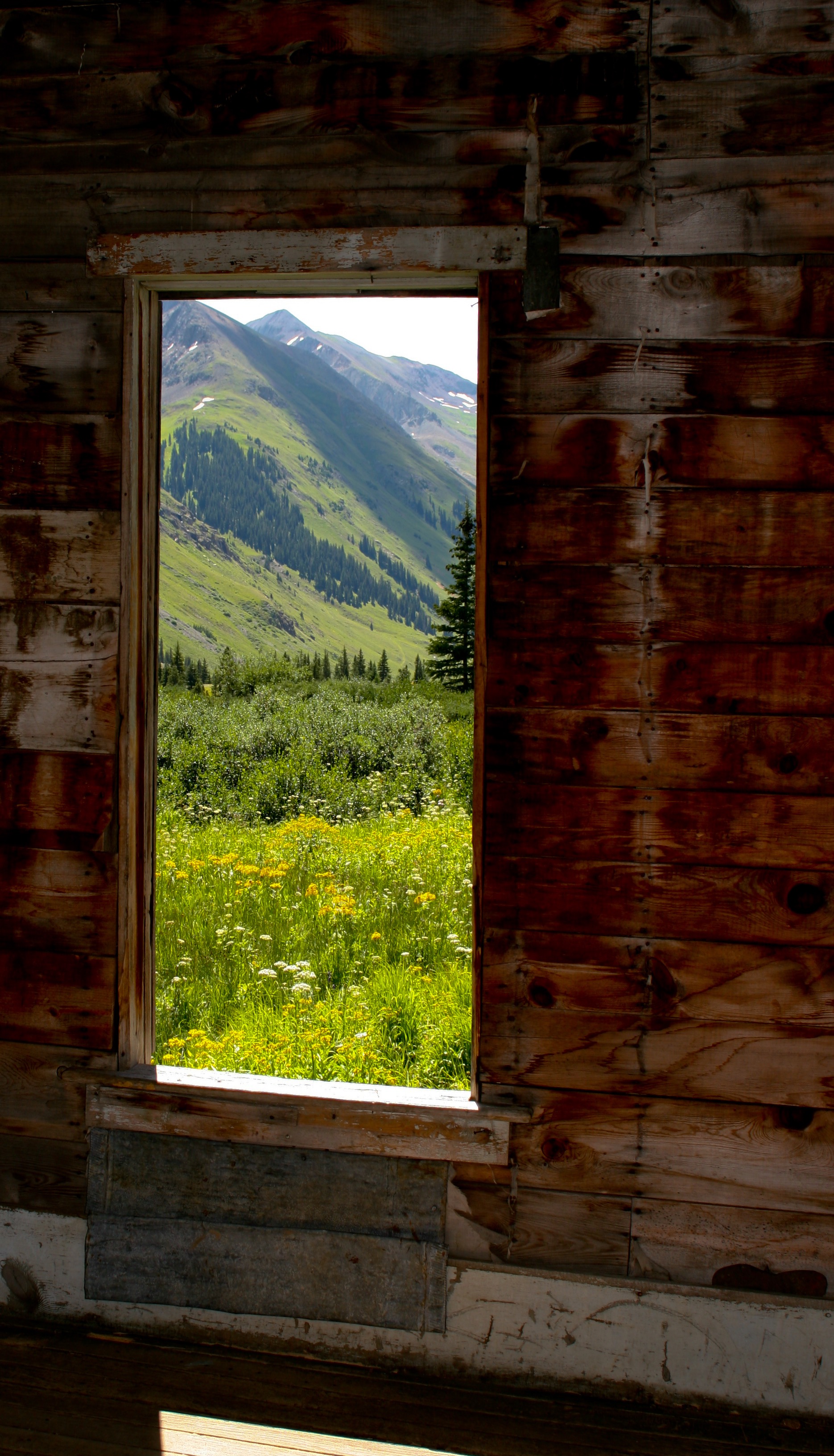 Screensaver (150 of 168).jpg