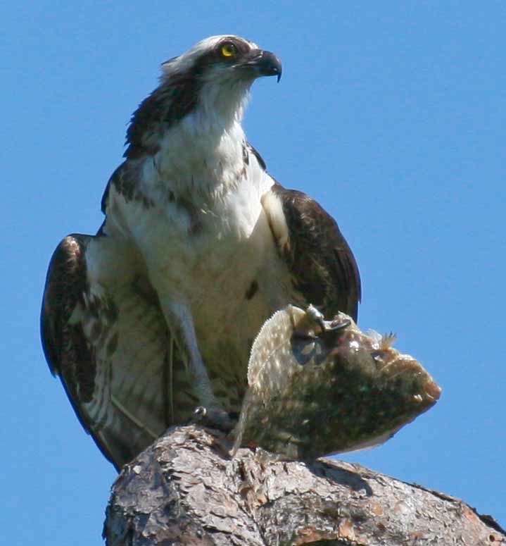 selection (32 of 48).jpg