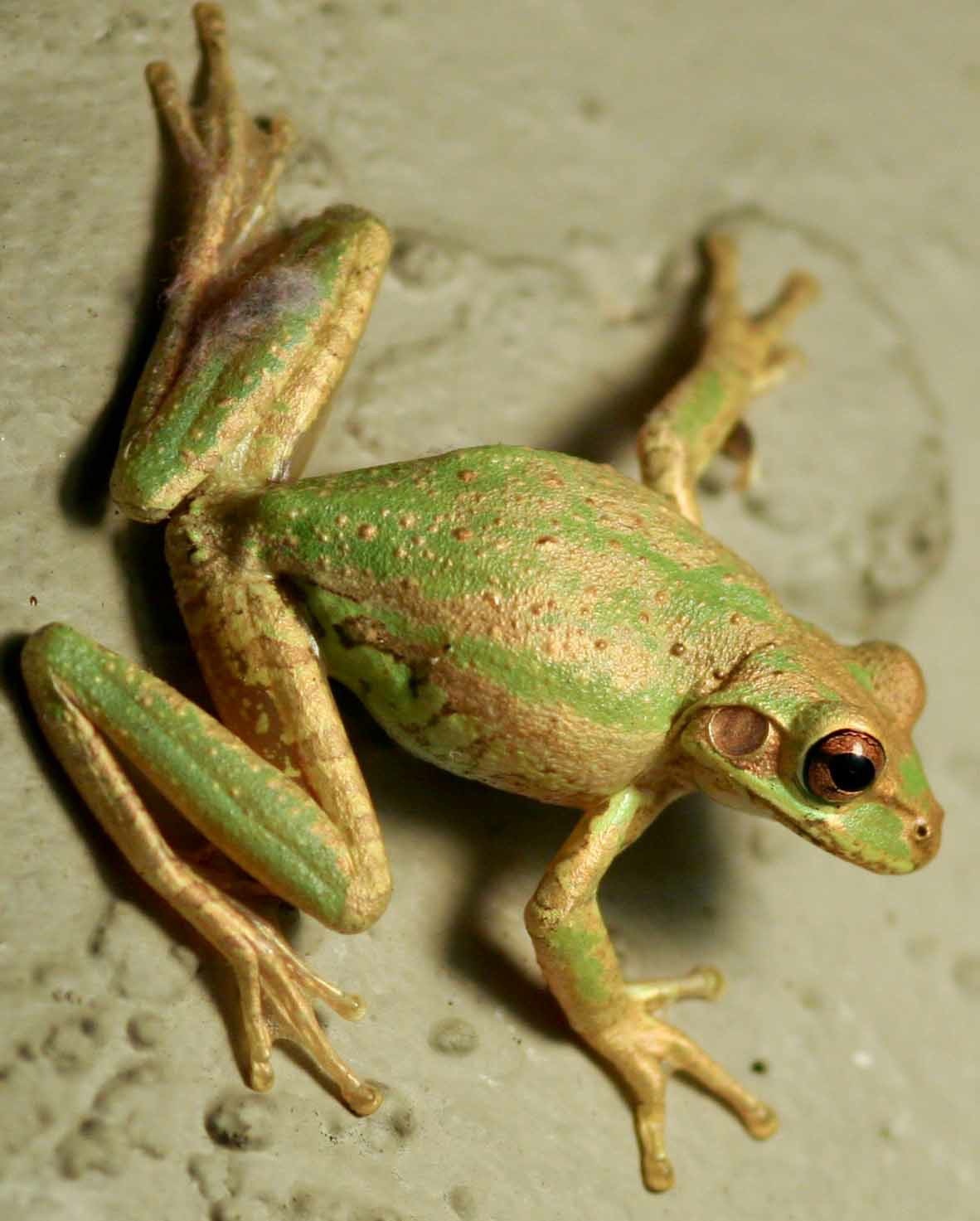 selection (39 of 48).jpg