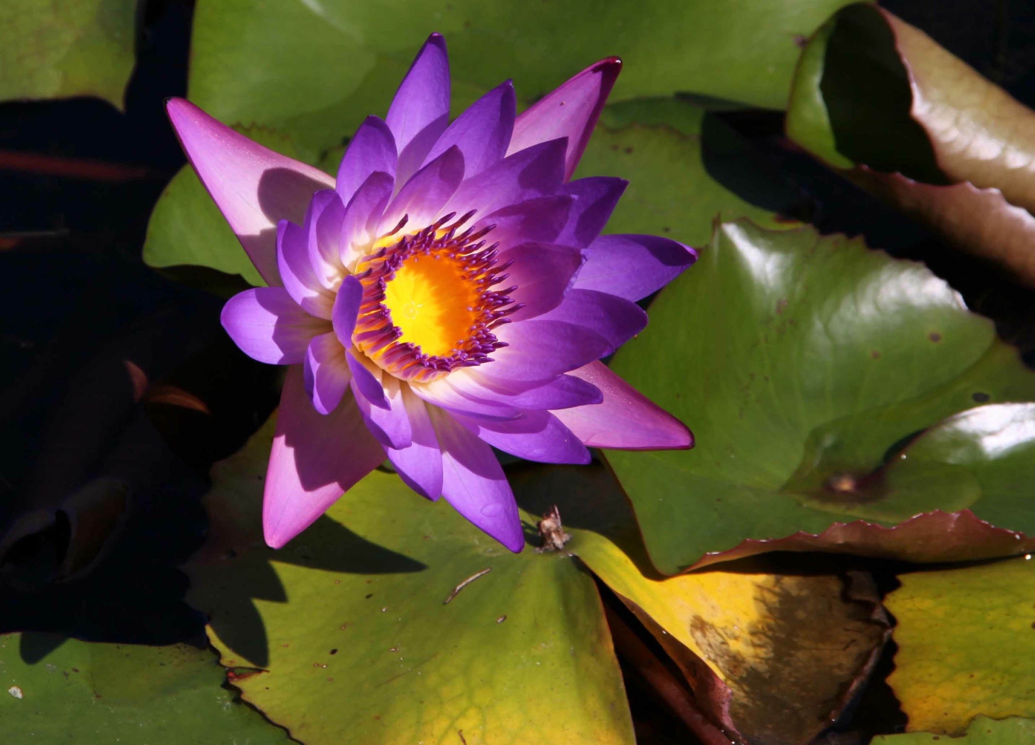 selection (41 of 48).jpg