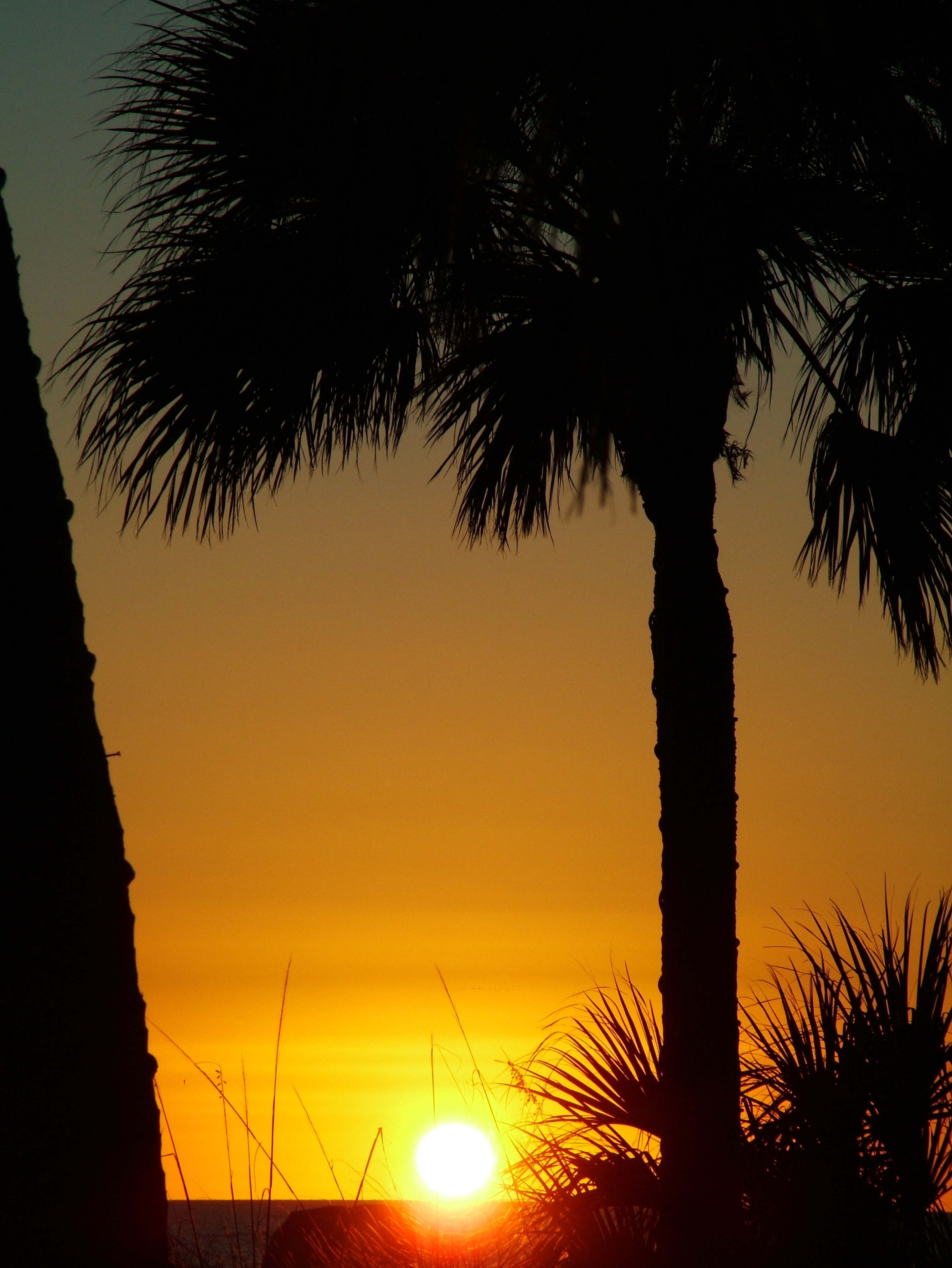 Screensaver (47 of 168).jpg